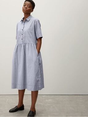 Everlane Parklet Buttondown Shirt Dress VGUC 6 Blue grid check